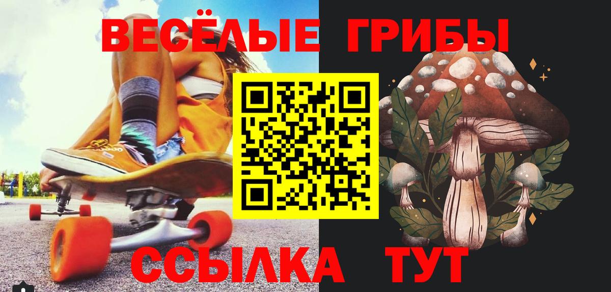 Новочеркасск  Галлюциногенные грибы прущие грибы  Псилоцибиновые грибы прущие грибы  Вход с VPN 